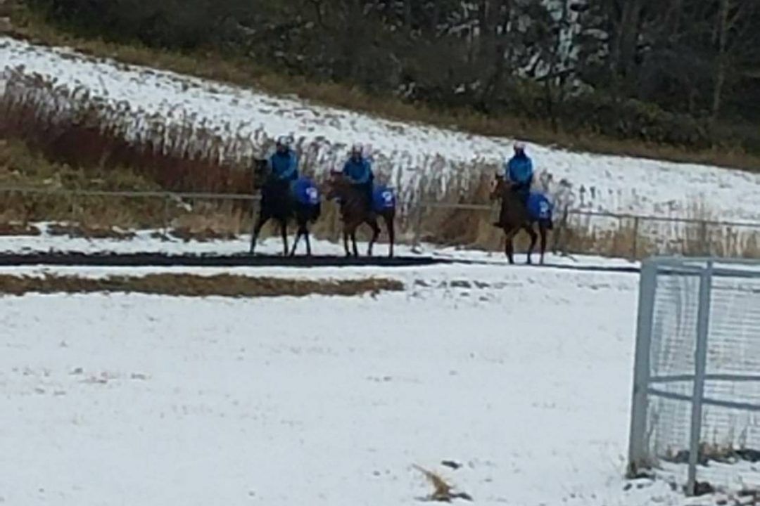 12月現在の調教動画を公開しました！！NO.2