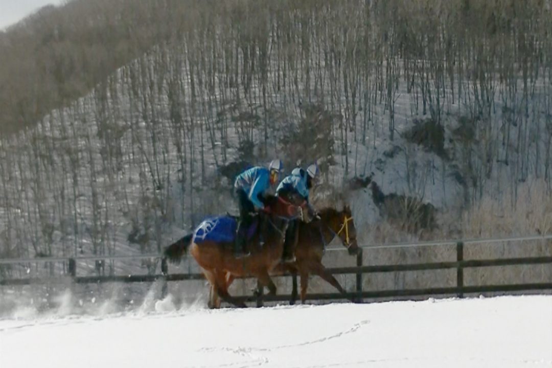30年2月【調教動画】坂路　3組目