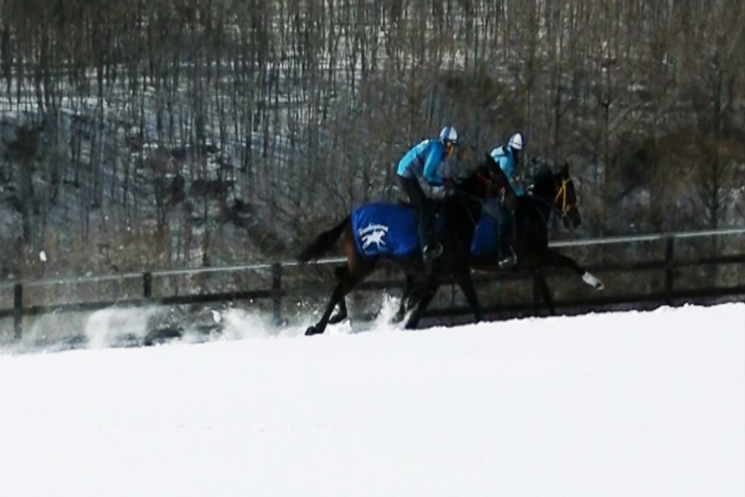 30年２月調教動画【坂路】１組目