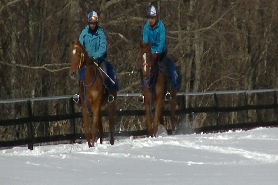 30年2月調教動画【坂路】2組目