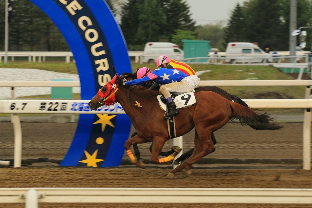 所有馬『アークヴィグラス』がデビュー戦を勝利！！