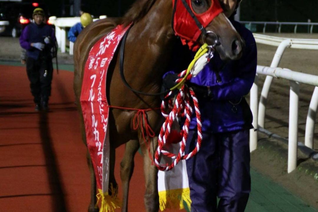 重賞フルールカップH3を勝利！