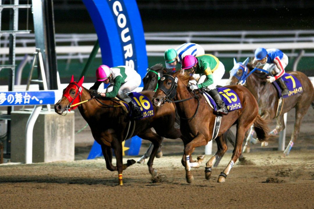 アークヴィグラス『交流重賞　エーデルワイス賞G3』制覇！！