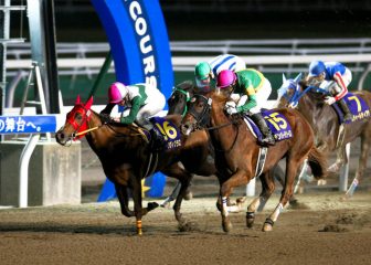 アークヴィグラス『交流重賞 エーデルワイス賞G3』制覇!!