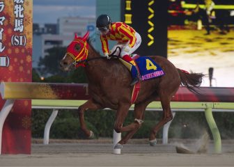 弊社所有馬『アークヴィグラス号』が東京2歳優駿牝馬にて優勝いたしました!!!