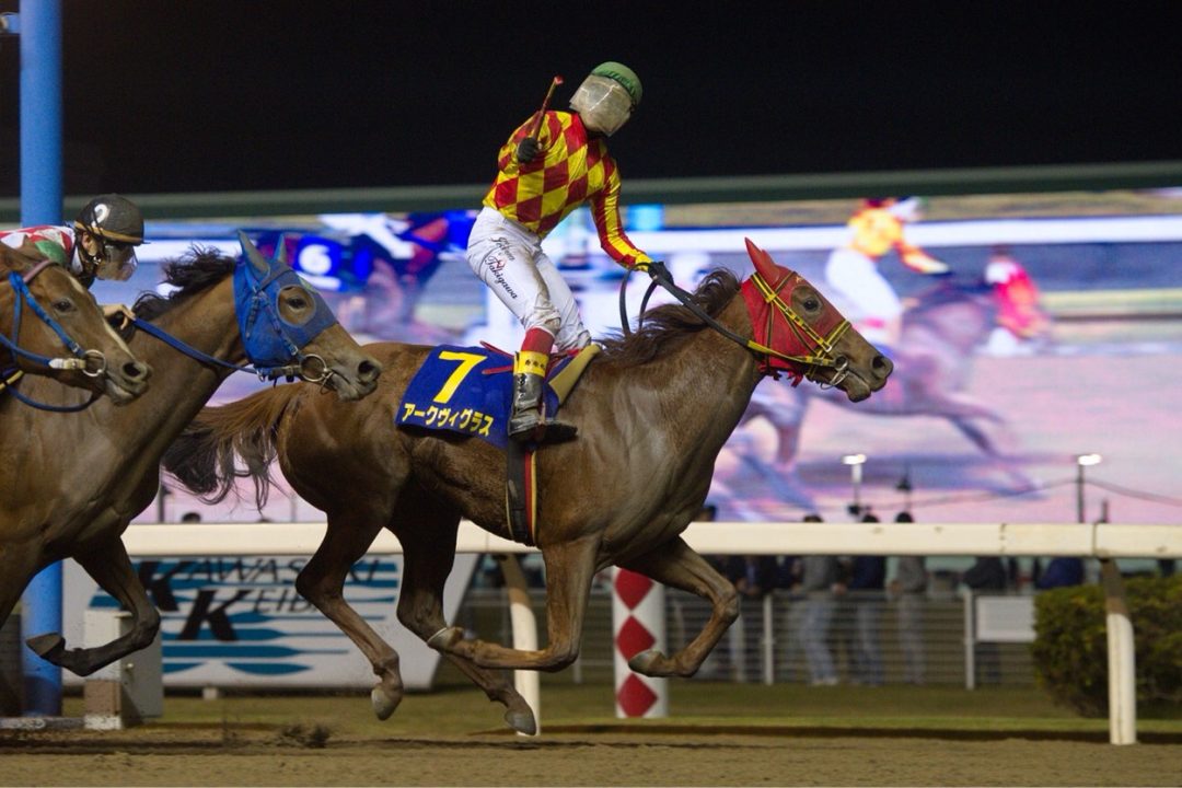 弊社所有馬『アークヴィグラス号』が川崎競馬『ローレル賞』にて優勝しました！
